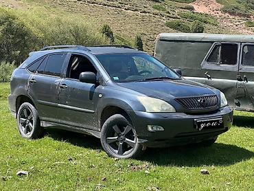 exceed rx: Lexus RX: 2005 г., 3 л, Автомат, Газ, Кроссовер — 1