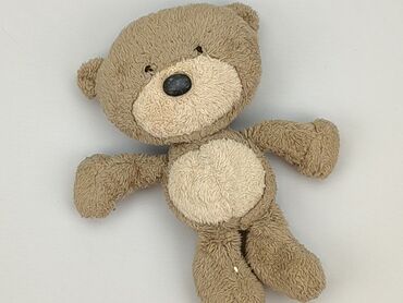 Mascots: Mascot Teddy bear, condition - Good