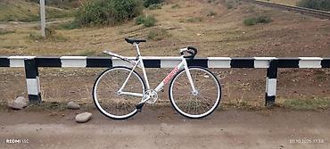 Спорт и хобби: Фикс-байк (fixed gear) Ardent/Adrenalite - Рама и вилка: легкий — 10