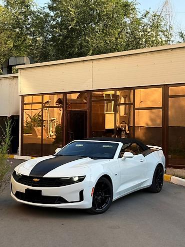 mazda 4: Chevrolet Camaro: 2020 г., 3.6 л, Автомат, Бензин, Кабриолет — 1