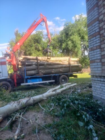 дробилка кара балта: Терек кара бак алам жакшы баада озубуз кесип кетебиз