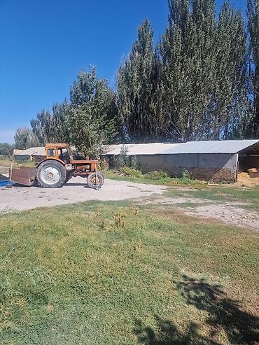 Продажа сельхозпредприятий: Farm КРС, 110 соток, Действующий, Электричество — 12