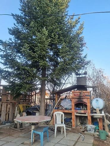 Продажа коттеджей и домов: Продается двухэтажный дом (коробка с остеклением) из блоков с — 9