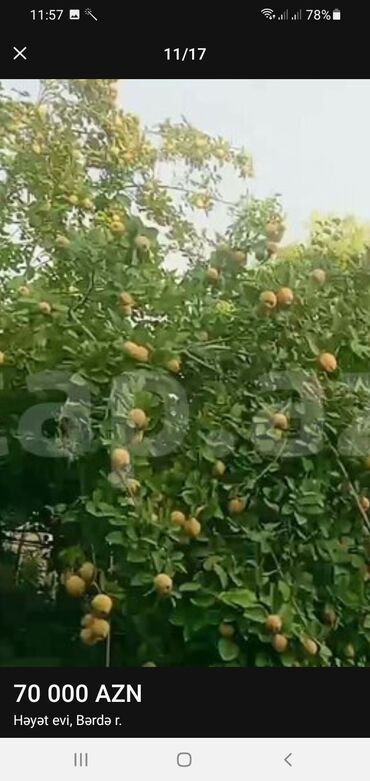 Həyət evləri və villaların satışı: TECİLİ Berde rayon hacìlar kendi yola yaxın 4 otaq zal heyetyani bag — 12