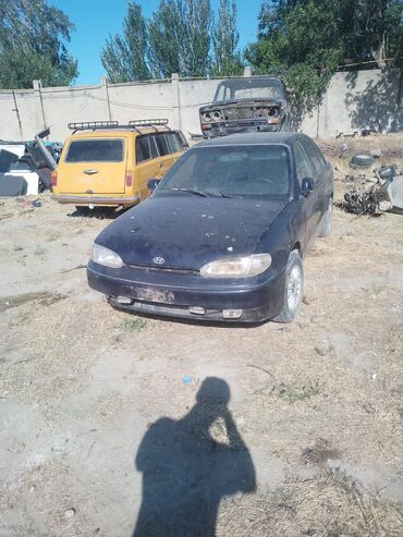masin sekli: Hyundai Accent: 2 l | 1994 il Sedan