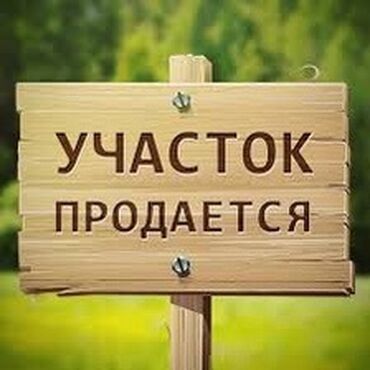 уча ток: 3 соток, Договор долевого участия, Генеральная доверенность