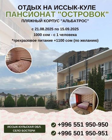 продаю дом в ак ордо 1: Номер, ОСТРОВОК | Альбатрос, Бостери, Балдар аянтчасы, Унаа токтотуучу жай, унаа туруучу жай, Коргоодогу аймак