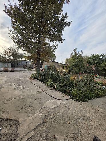 участок под магазин: 3 комнаты, 75 м², 6 соток, Сокулук — 10