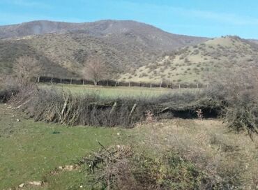 Torpaq sahələrinin satışı: 19 sot, Kənd təsərrüfatı, Mülkiyyətçi, Kupça (Çıxarış) — 5