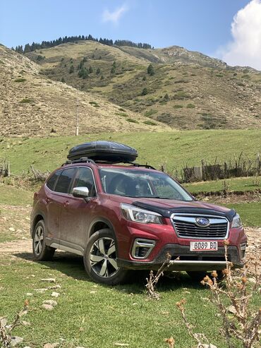 домкрат воздушный: Subaru Forester: 2020 г., 2.5 л, Автомат, Бензин, Кроссовер