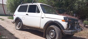 ижара машина: ВАЗ (ЛАДА) 4x4 Niva: 1979 г., 1.7 л, Механика, Бензин, Жол тандабас