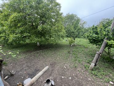 Torpaq sahələrinin satışı: 7 sot, Tikinti, Mülkiyyətçi, Kupça (Çıxarış) -da lalafo.az — 4 Torpaq sahələrinin satışı: 7 sot, Tikinti, Mülkiyyətçi, Kupça (Çıxarış) — 4