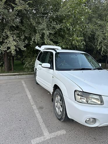 субары форестер: Subaru Forester: 2003 г., 2 л, Автомат, Бензин, Универсал — 8