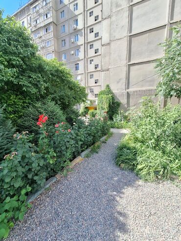 куплю дом в панфиловском районе чалдоваре: 3 комнаты, 110 м², Индивидуалка, 6 этаж, Старый ремонт