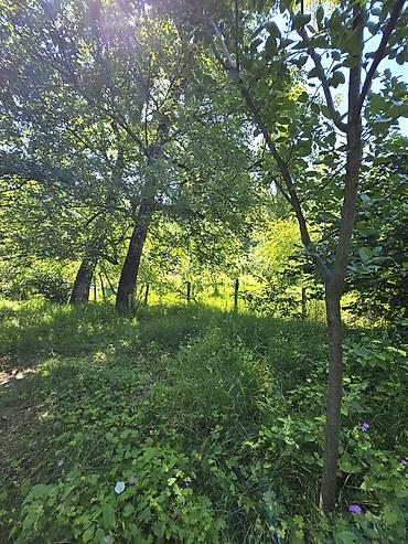 Günlük kirayə evlər: 160 kv. m, 4 otaqlı, İşıq, Su, Kanalizasiya — 26