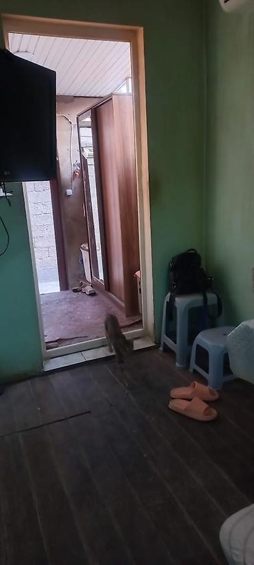 i̇sm: Kirayə üçün 2 otaqlı ev EMIRCANDA XEZAYKALI EV KIRAYE VERILIR HER — 1