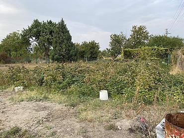 Продажа участков: 5 соток, Для сельского хозяйства — 4