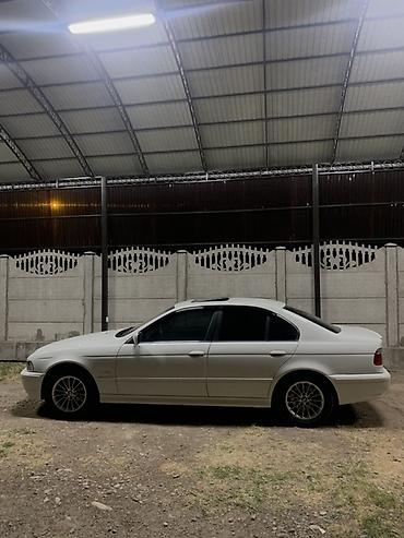 бмв e46: BMW 5 series: 2003 г., 2.5 л, Автомат, Бензин, Седан — 3