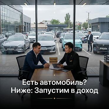 шопена: Система аренды DOS PARK — запустим ваш автомобиль в доход. Что — 1