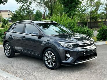 ноокат мошина: Kia Stonic: 2019 г., 1.4 л, Автомат, Бензин, Кроссовер