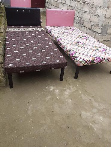 Kravat taza
Hazırı var