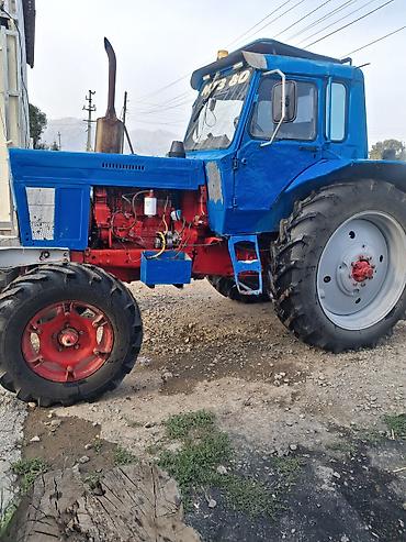 скутер с номером: Трактор МТЗ-80 (Беларус) - Полный привод класс тяги 1,4 - Дизельный — 4