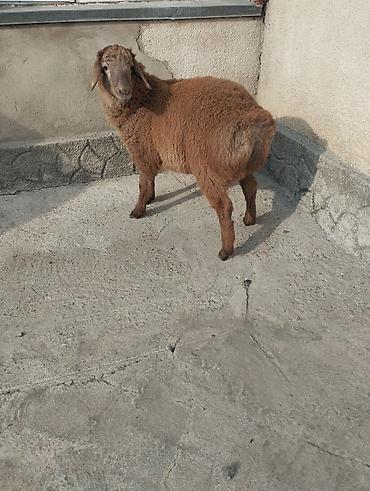 Сварка: Сварка | Камины Высотные работы — 6