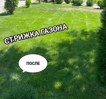 скарификатор: Уборка территории, Стрижка газона — 1