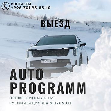 thindiag 2: Русификация авто, Корея, Kia — 1