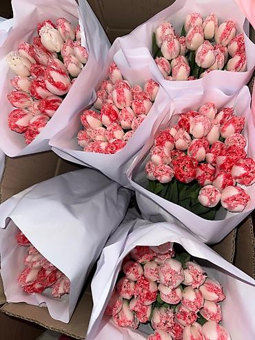 Букеты из живых цветов: Тюльпаны с луковицей Оптом | В розницу - Свежие тюльпаны с крупным — 5