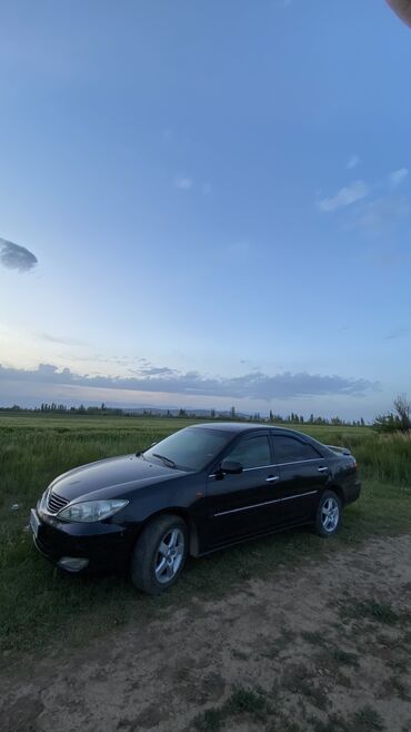 козырек на камри 40: Toyota Camry: 2004 г., 3 л, Автомат, Газ, Седан