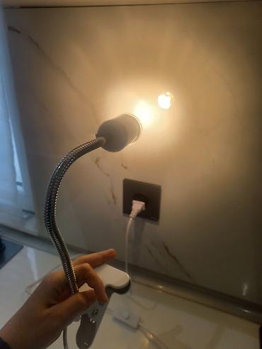 uvb lampa: Salam tutacağı satılır 45 azn - Reptil və amfibiyaların sağlamlığı — 4