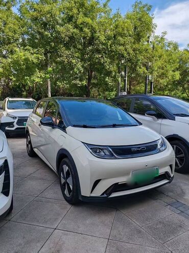 машины до 200 тысяч автомат: BYD Dolphin: 2024 г., Автомат, Электромобиль