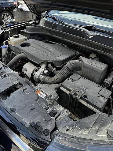 e klass: Ssangyong Korando: 2019 г., 1.5 л, Автомат, Дизель, Кроссовер — 2