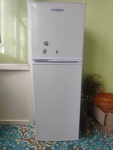 продаю холодильник не рабочий: Холодильник Schaub Lorenz, Б/у, Side-By-Side (двухдверный), 60 * 160 * 60