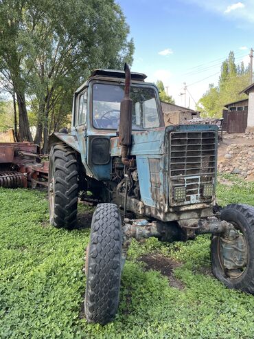 Тракторы: Трактор 
MTZ-80