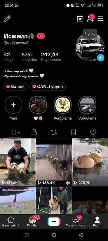 maltipo f1: Xidmət: itlər üzrə kontent yaradıcılığı və kennel təqdimatı (TikTok — 1