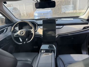 Weltmeister: Weltmeister EX5, 2022 г., 54721 км — 4