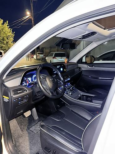 sultan power: Hyundai Palisade: 2020 г., 2.2 л, Автомат, Дизель, Кроссовер — 9