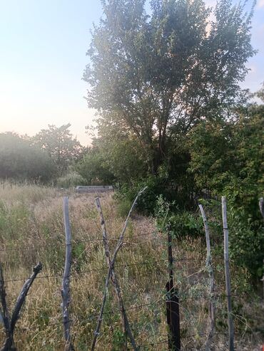 Продажа участков: 10 соток, Красная книга — 7