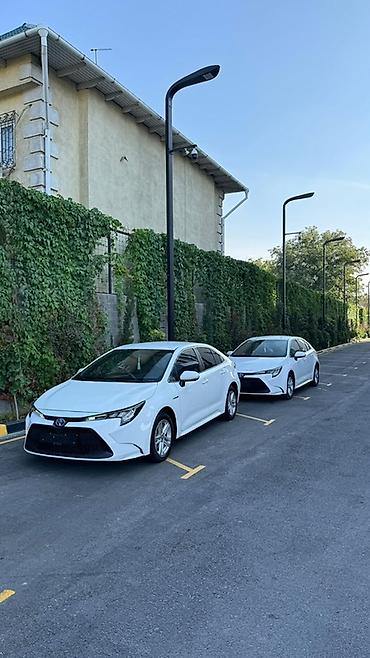 Toyota: Toyota Corolla: 2022 г., Вариатор, Гибрид, Седан — 1