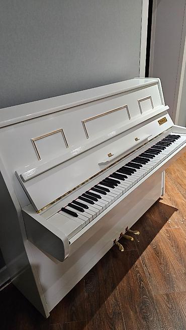 Musiqi alətləri: Piano əla vəziyyətdədir, çox səliqəli saxlanıb. Tokkata modeldir — 6