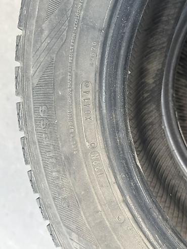 195 70 с: Зимняя шина Dunlop (без шипов, Studless) - Тип: зимняя фрикционная — 9