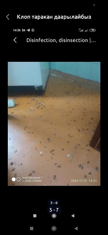 Дезинфекция, дезинсекция: Дезинфекция, дезинсекция, | Клопы, Блохи, Тараканы, | Транспорт, Офисы, Квартиры at lalafo.kg — 3 Дезинфекция, дезинсекция: Дезинфекция, дезинсекция, | Клопы, Блохи, Тараканы, | Транспорт, Офисы, Квартиры — 3
