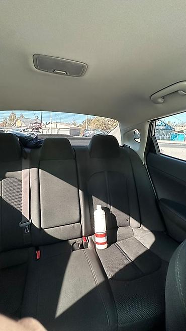 odyssey 2002: Kia Optima: 2019 г., 2.4 л, Автомат, Бензин, Седан — 7
