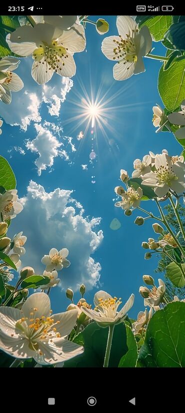 я ищу работы: Срочно срочно нужно девушка продавец консультант с опытам работы на