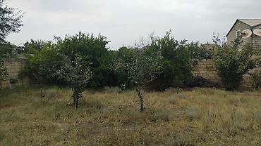 Həyət evləri və villaların satışı: 4 otaqlı, 90 kv. m, Yeni təmirli — 7