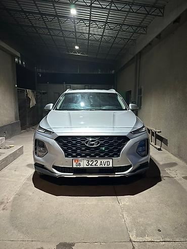 Hyundai: Hyundai Santa Fe: 2019 г., 2.2 л, Автомат, Дизель, Кроссовер — 11