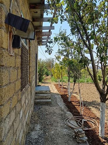 bakıda ev: Saray, 45 kv. m, 1 otaqlı, Su, İşıq — 3
