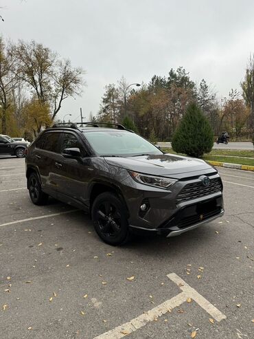 фара тойота рав 4 2020: Toyota RAV4: 2019 г., 2.5 л, Вариатор, Гибрид, Кроссовер